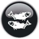 מזל דגים - הורוסקופ 2013